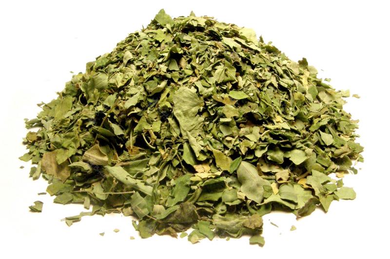 Moringa